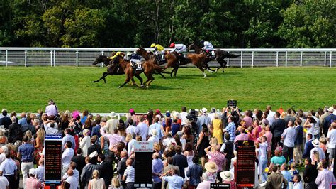 Glorious Goodwood: Goodwood Cup 2023 tips and odds .